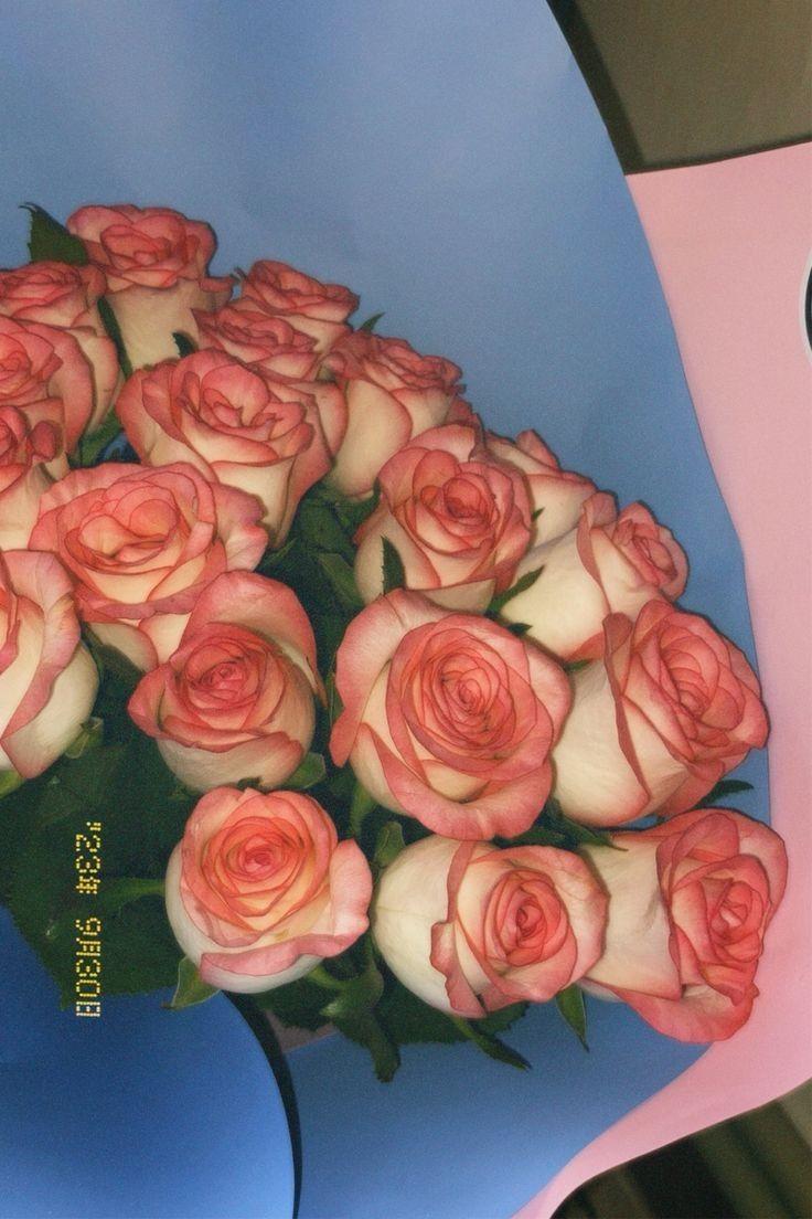Whispers of Dawn: Gentle Pastel Bouquet